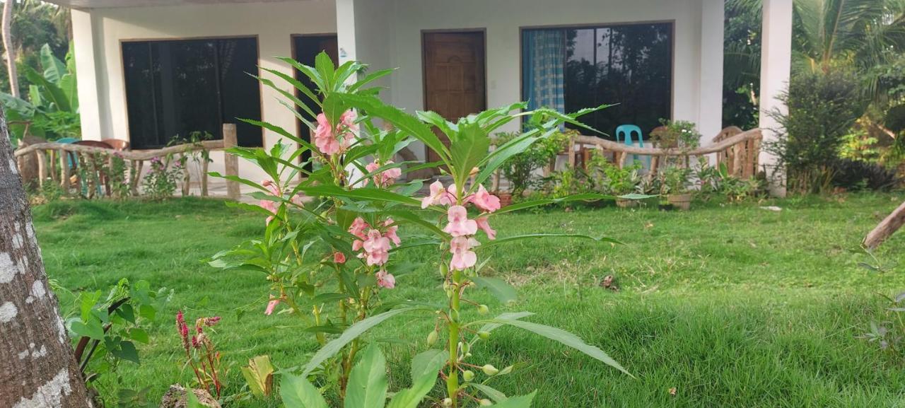 Andnindot Garden Resort Anda  Εξωτερικό φωτογραφία